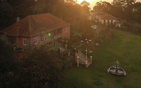 Villa Camelia Boutique House